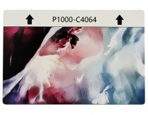 Защитная плёнка текстурная на заднюю часть "Краски" (Палитра, C4064)